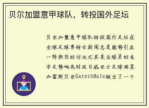 贝尔加盟意甲球队,转投国外足坛