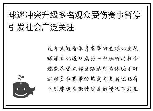球迷冲突升级多名观众受伤赛事暂停引发社会广泛关注
